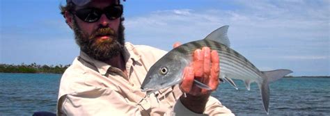 sea dreams caye caulker|belize caye caulker fishing charters.